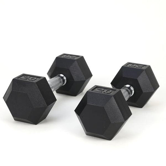 20LB 2 HDRS Rubber Coated Solid Cast Iron Dumbbells, Not Shipped On Weekends - NashPull