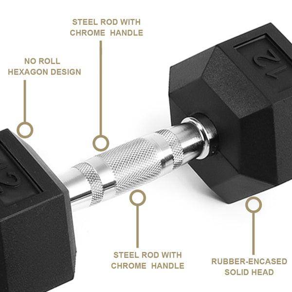 20LB 2 HDRS Rubber Coated Solid Cast Iron Dumbbells, Not Shipped On Weekends - NashPull